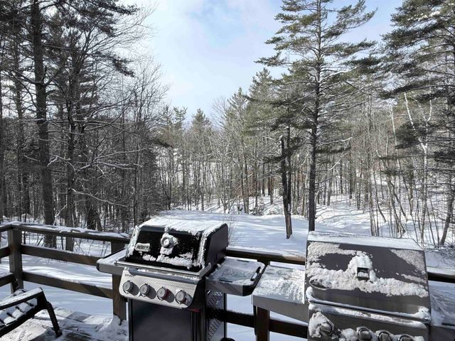 78 White Pines Road, Reading, VT 05062