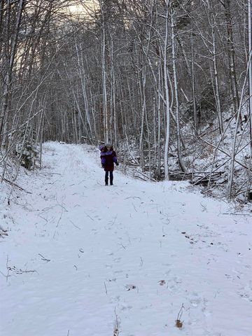 78 White Pines Road, Reading, VT 05062