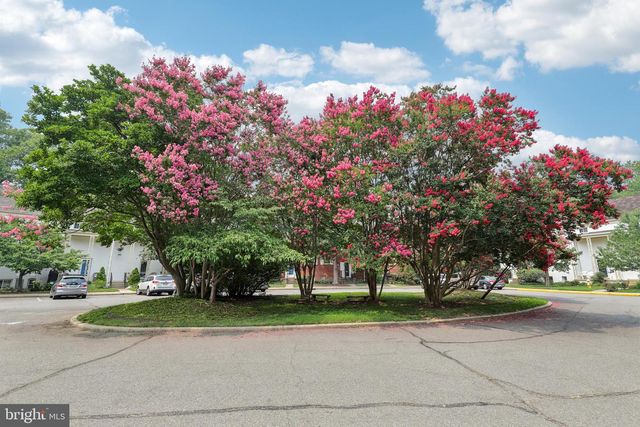 1622 RIPON PL, Alexandria, VA 22302