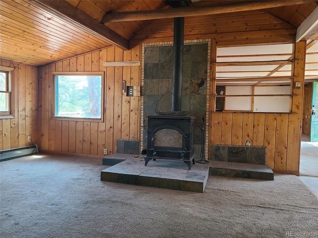 23721 Summit Street, Pine, CO 80470