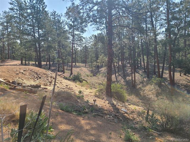 23721 Summit Street, Pine, CO 80470