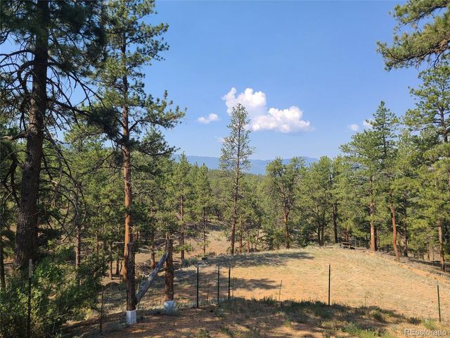 23721 Summit Street, Pine, CO 80470