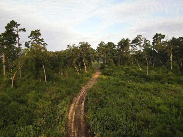 8301 State Highway 7 Highway E, Centerville, TX 75833