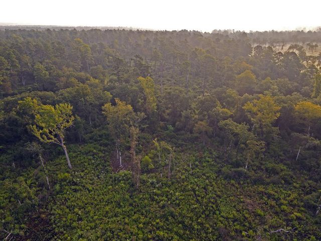 8301 State Highway 7 Highway E, Centerville, TX 75833