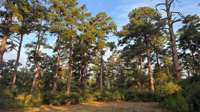 8301 State Highway 7 Highway E, Centerville, TX 75833