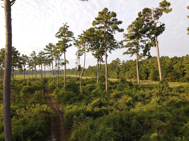 8301 State Highway 7 Highway E, Centerville, TX 75833