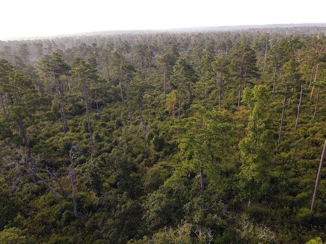 8301 State Highway 7 Highway E, Centerville, TX 75833