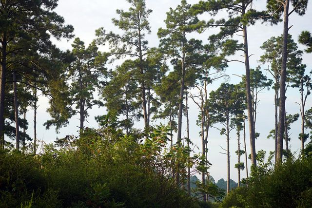 8301 State Highway 7 Highway E, Centerville, TX 75833