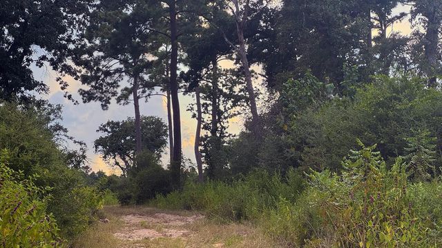 8301 State Highway 7 Highway E, Centerville, TX 75833