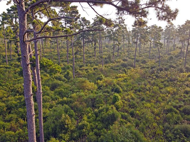 8301 State Highway 7 Highway E, Centerville, TX 75833