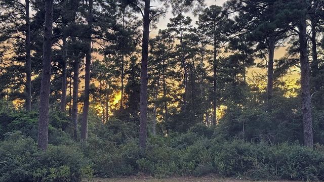 8301 State Highway 7 Highway E, Centerville, TX 75833