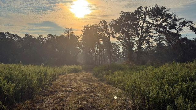 8301 State Highway 7 Highway E, Centerville, TX 75833