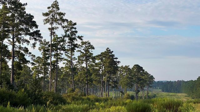 8301 State Highway 7 Highway E, Centerville, TX 75833