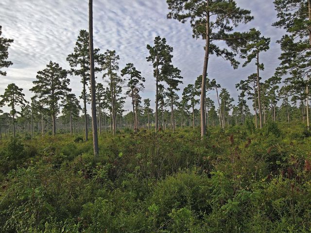 8301 State Highway 7 Highway E, Centerville, TX 75833