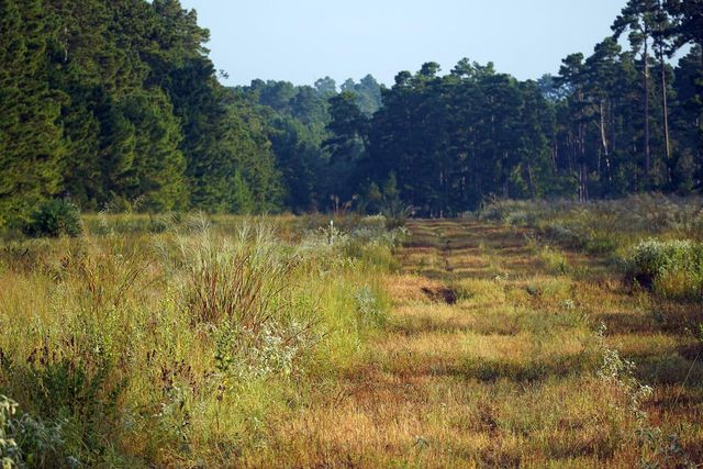 8301 State Highway 7 Highway E, Centerville, TX 75833