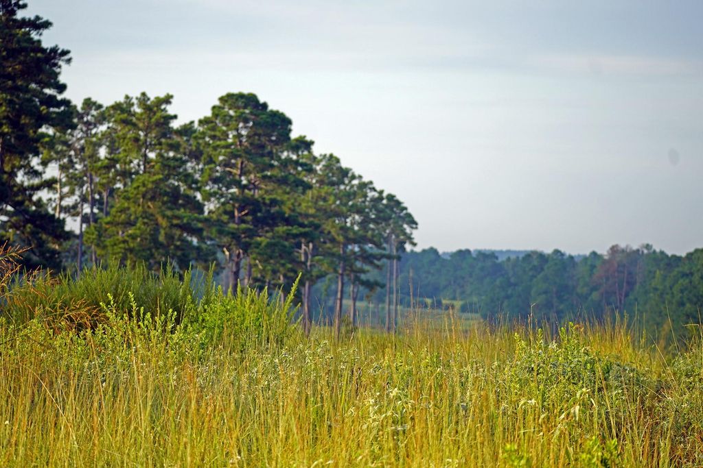 8301 State Highway 7 Highway E, Centerville, TX 75833