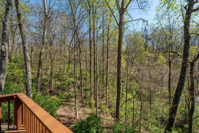 1129 Breckenridge Drive Na, Johnson City, TN 37604