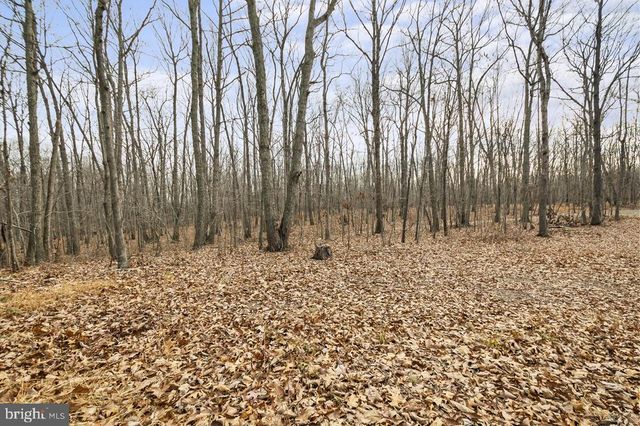 7389 LEEDS MANOR RD, Marshall, VA 20115