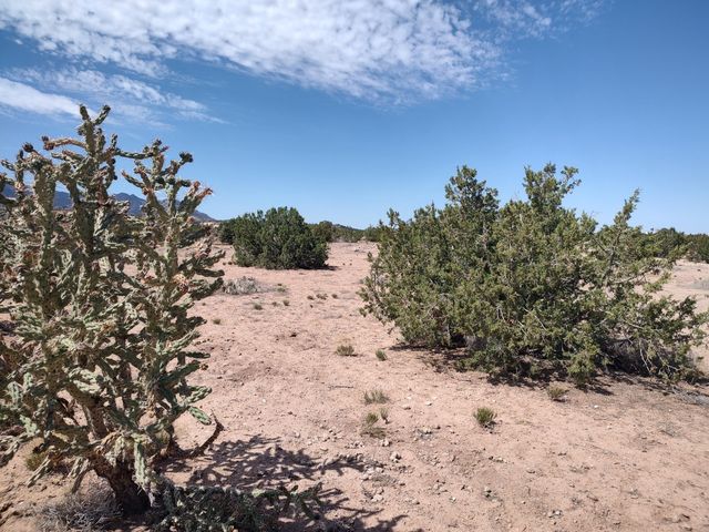 Cielo Norte Tract B-4, Placitas, NM 87043