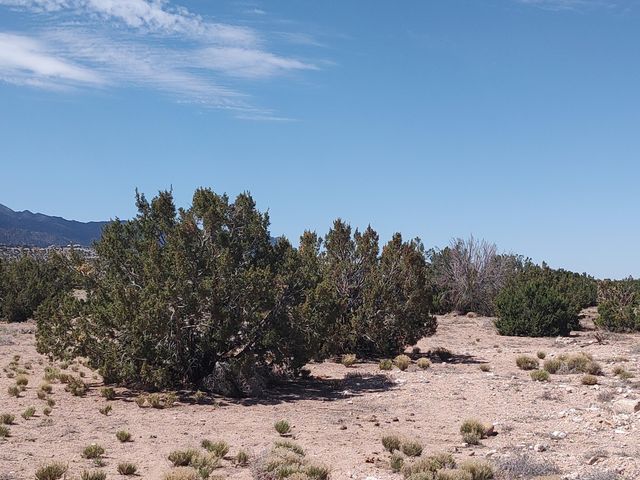 Cielo Norte Tract B-4, Placitas, NM 87043