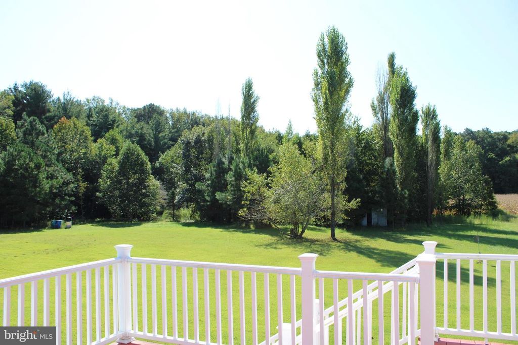 31655 MORRIS LEONARD RD, Parsonsburg, MD 21849