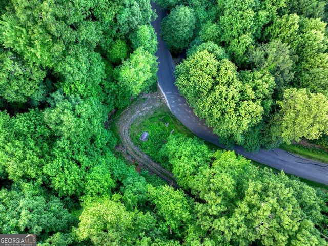 35 Utana Bluff Trails, Ellijay, GA 30540