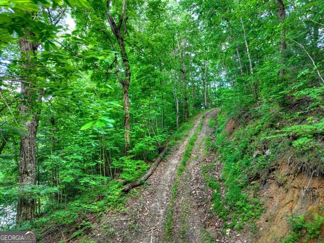 35 Utana Bluff Trails, Ellijay, GA 30540