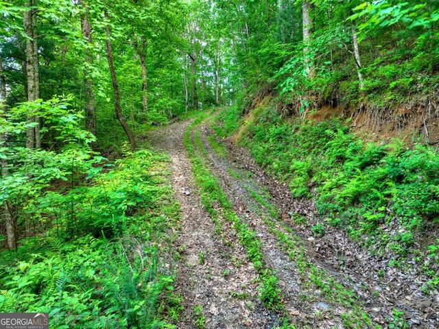 35 Utana Bluff Trails, Ellijay, GA 30540
