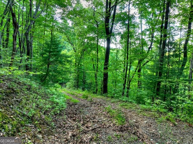 35 Utana Bluff Trails, Ellijay, GA 30540