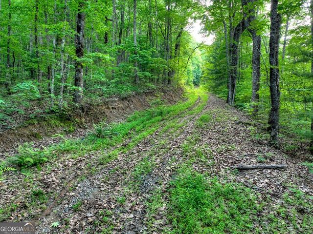 35 Utana Bluff Trails, Ellijay, GA 30540