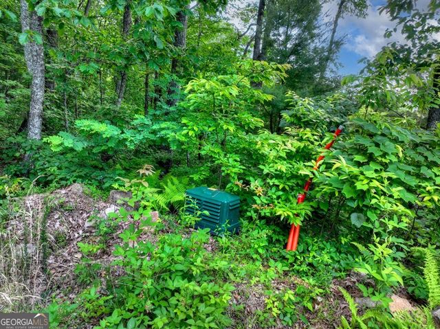 35 Utana Bluff Trails, Ellijay, GA 30540