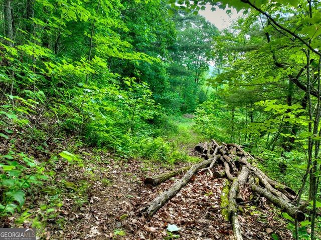 35 Utana Bluff Trails, Ellijay, GA 30540