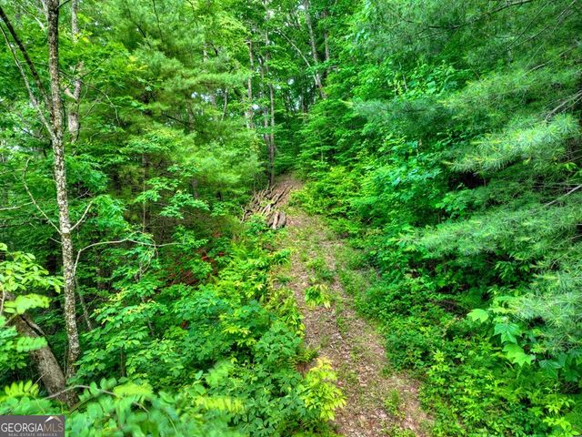 35 Utana Bluff Trails, Ellijay, GA 30540