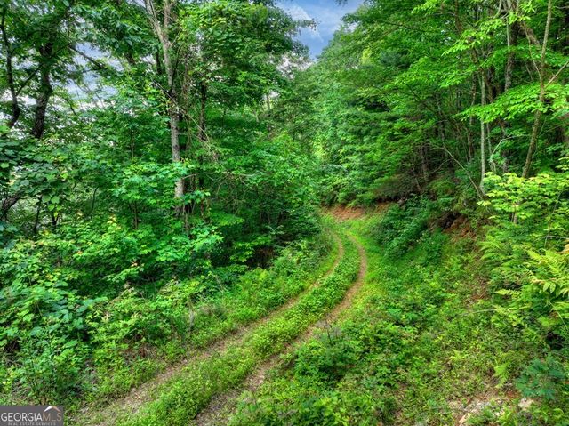 35 Utana Bluff Trails, Ellijay, GA 30540