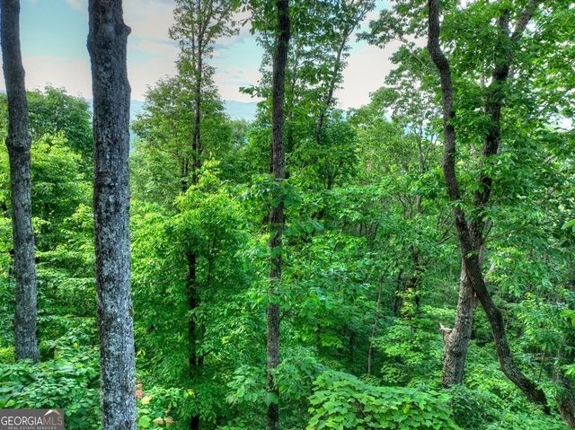 35 Utana Bluff Trails, Ellijay, GA 30540
