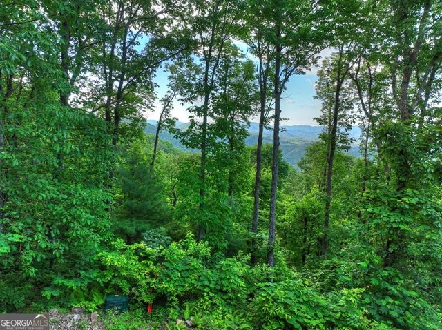 35 Utana Bluff Trails, Ellijay, GA 30540