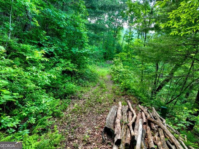 35 Utana Bluff Trails, Ellijay, GA 30540