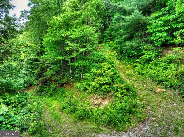 35 Utana Bluff Trails, Ellijay, GA 30540