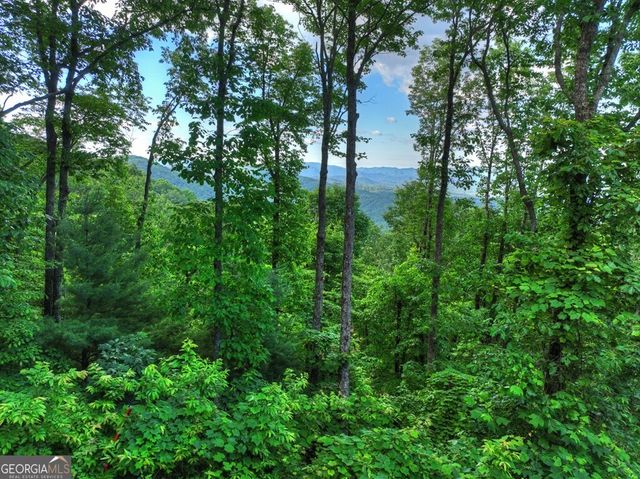 35 Utana Bluff Trails, Ellijay, GA 30540