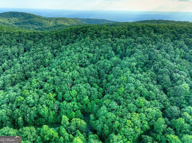 35 Utana Bluff Trails, Ellijay, GA 30540