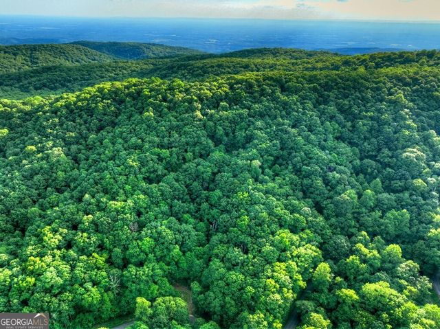35 Utana Bluff Trails, Ellijay, GA 30540