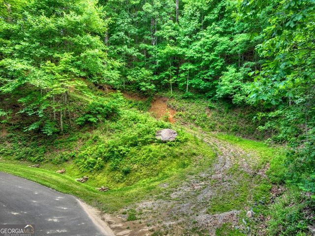 35 Utana Bluff Trails, Ellijay, GA 30540