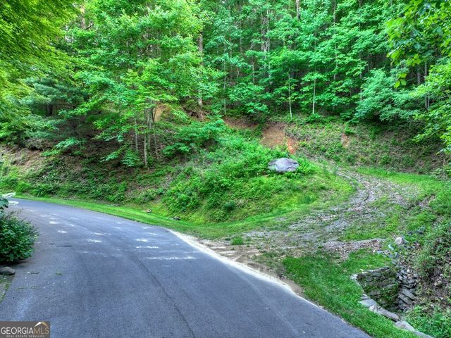 35 Utana Bluff Trails, Ellijay, GA 30540