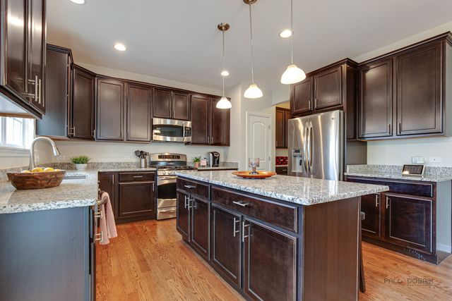 20463 N Joshua Court, Deer Park, IL 60010