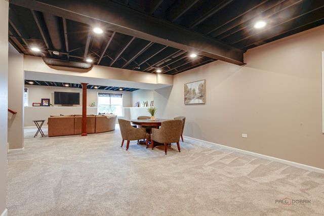 20463 N Joshua Court, Deer Park, IL 60010