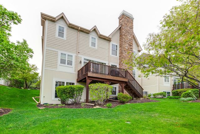 20463 N Joshua Court, Deer Park, IL 60010