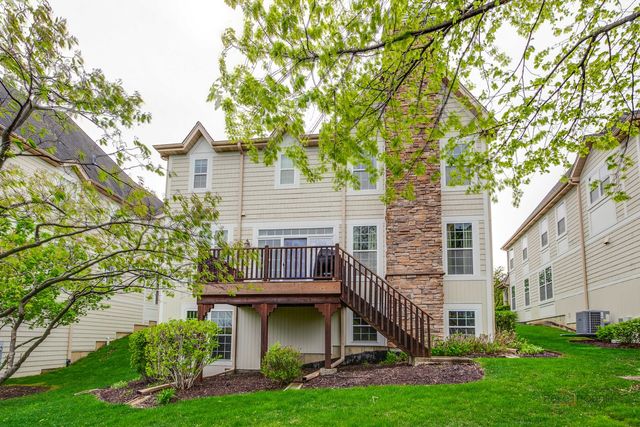 20463 N Joshua Court, Deer Park, IL 60010
