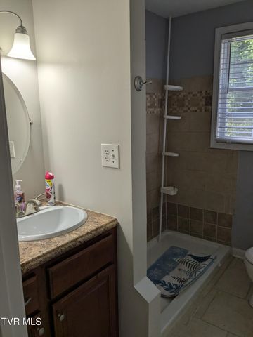 1319 5th Street, Bristol, TN 37620