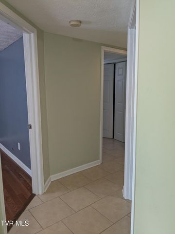 1319 5th Street, Bristol, TN 37620