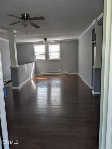 1319 5th Street, Bristol, TN 37620
